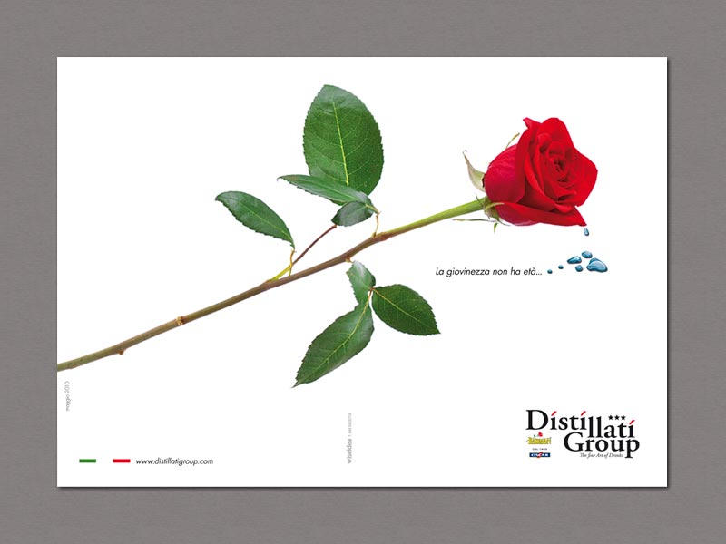 Copertina catalogo prodotti Distillati Group